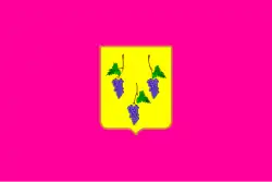 Drapeau de Izioum
