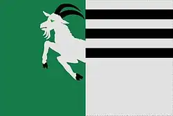 Drapeau de Jámy