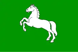 Drapeau de Jamné nad Orlicí