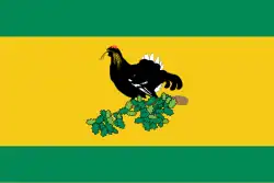 Drapeau de Raïon de Kaltassy