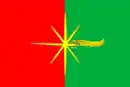 Drapeau de Kartaly