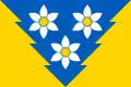 Drapeau de Raïon de Khoust