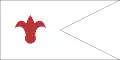 Drapeau