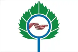 Drapeau de Koltsovo