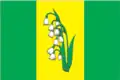 Drapeau du district