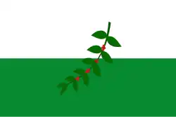 Drapeau de La Celia