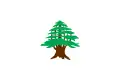 Drapeau du Mont Liban (1842-1920).