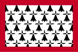icône décorative