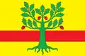 Drapeau du district