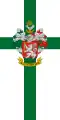Drapeau de Magyarmecske