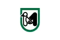 icône décorative