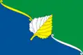 Drapeau du district