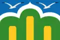 Drapeau du district