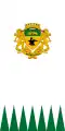 Drapeau de Mezőkovácsháza
