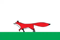 Drapeau de Raïon de Mezen