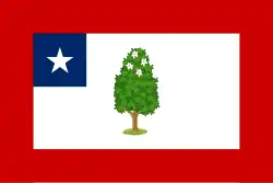 Drapeau civil et drapeau d’État, entre 1861 et 1865.