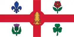 icône décorative