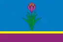 Drapeau de Mozdok