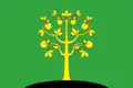 Drapeau du district
