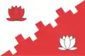 Drapeau du district