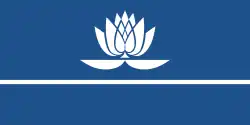 Drapeau de Navapolatsk