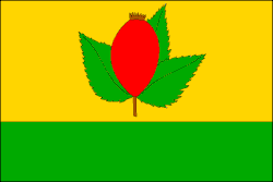 Drapeau de Nesuchyně