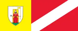 Drapeau de Novo mesto