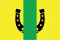 Drapeau du district