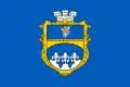 Drapeau de Raïon d'Obolon