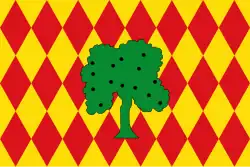 Drapeau de Oliva