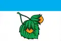 Drapeau du district