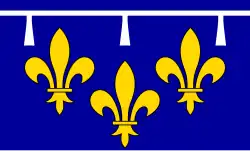 Drapeau de l'Orléanais.