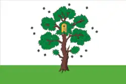 Drapeau de Ossa
