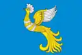 Drapeau du district
