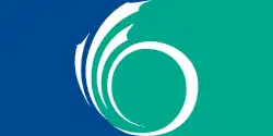 icône décorative
