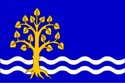 Drapeau de Pastviny