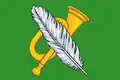 Drapeau du district