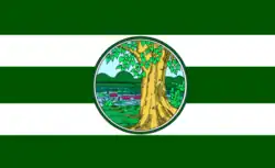 Drapeau de Phichit
