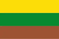 Drapeau de Pinchote