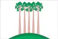 Drapeau du district