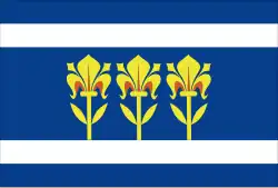 Drapeau de Provodov