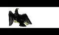 Drapeau de l'État libre de Prusse