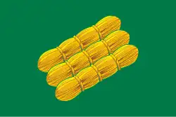 Drapeau de Poudoj
