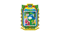 Drapeau de Puebla