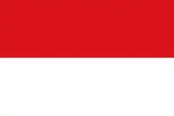 Drapeau de Rionegro