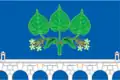 Drapeau du district