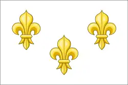 Exemple de drapeau royaliste utilisé pendant la Révolution.
