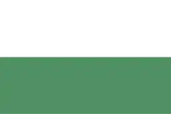 Drapeau de San Antonio