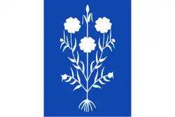 Drapeau de Sancedo
