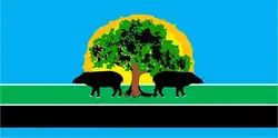 Drapeau de Santa Bárbara